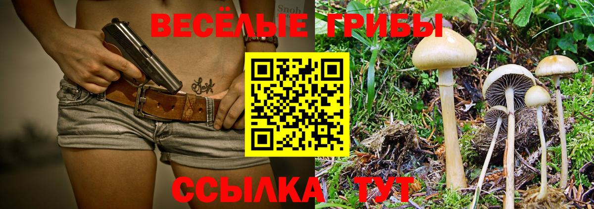 Галлюциногенные грибы MAGIC MUSHROOMS  Вход с VPN  Псилоцибиновые грибы Cubensis  Коммунар 