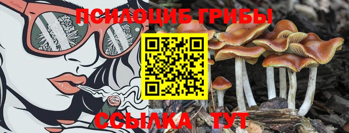 Псилоцибиновые грибы Magic Shrooms Коммунар